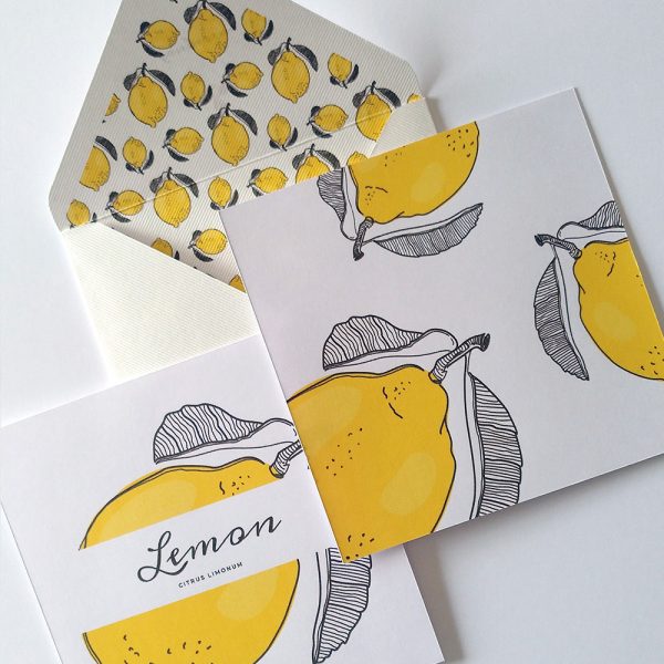 Coleção Frutos: Lemon . Envelope & Card