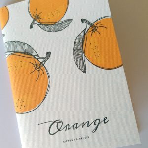 Coleção Frutos: Orange . Notebook
