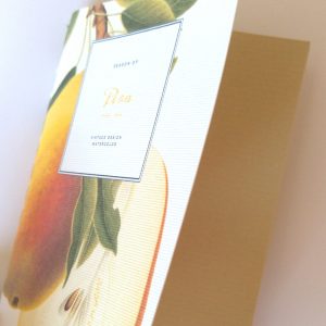 Coleção Aguarelas: Pera . Notebook