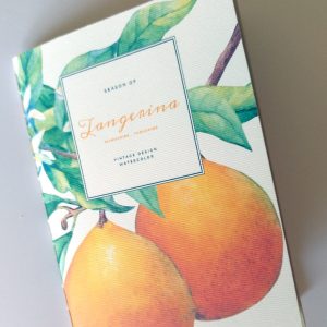 Coleção Aguarelas: Tangerina . Notebook